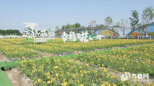 臨邑 開發(fā)特色深度鄉(xiāng)村旅游產(chǎn)品，激發(fā)文旅新活力