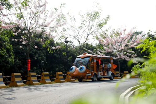 增城入選第三批廣東省文化和旅游特色村，鄉(xiāng)村旅游精品線路全新出爐